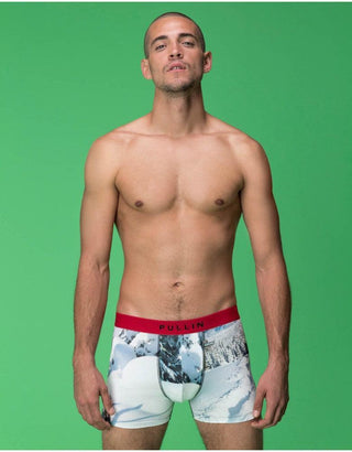 Man wearing Pullin boxer briefs with winter mountain print, standing against green background
